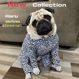 🎈new🔥Haruชุดเก็บขนสุนัขเเละเเมว