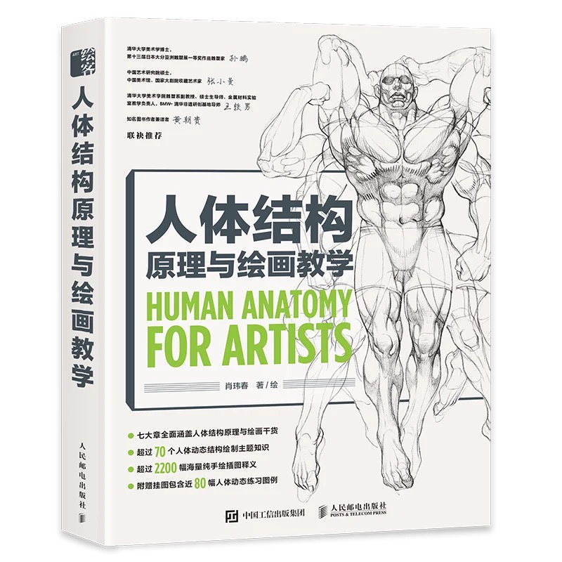 หนังสือ สอนวาดรูป Human Anatomy For Artists โครงสร้างร่างกาย ใช้ในการวาด มังงะ การ์ตูน วาดตัวละคร เกมส์ อนิเมชั่น