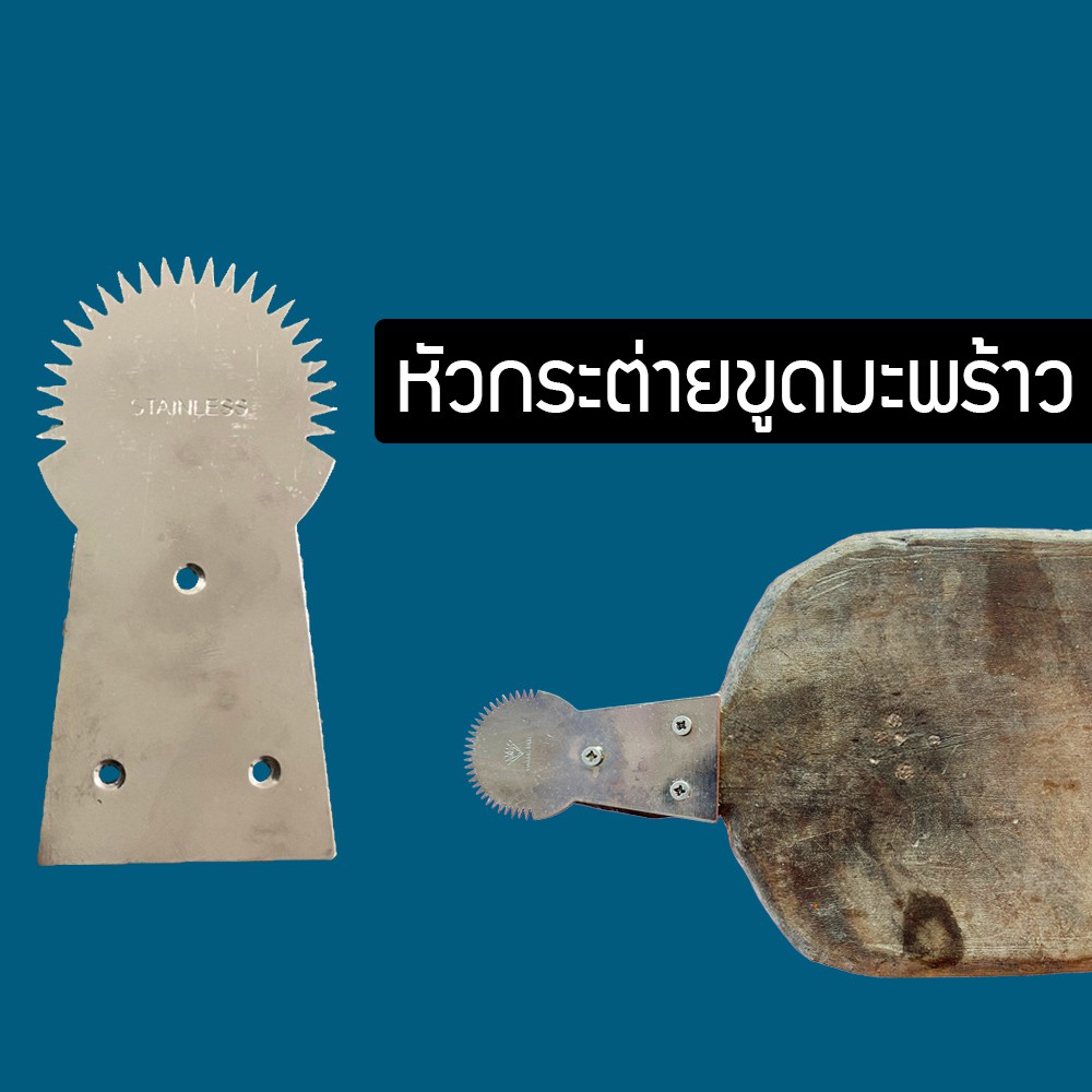 หัวกระต่ายขูดมะพร้าว ที่ขูดมะพร้าว NGN555645645