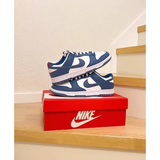 Nike Dunk Low Retro Valerian Blue