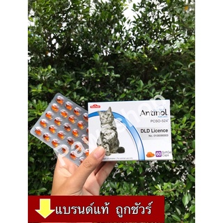 [ถูกสุด] Antinol แมว ช่วยบำรุงข้อ กระดูก ขน ผิวหนัง และไต (1 กล่อง 60 caps) สำหรับแมว