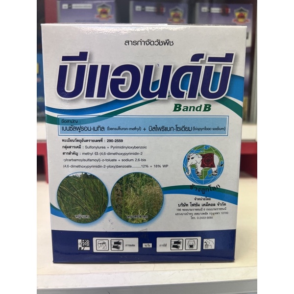 บีแอนด์บีตราช้างลูกโลก250กรัม