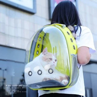 กระเป๋าแมว ใส่แมว แมวอวกาศ ใส่สัตว์เลี้ยง อวกาศแมว อวกาศ เป้แมว แมวแคปซูล