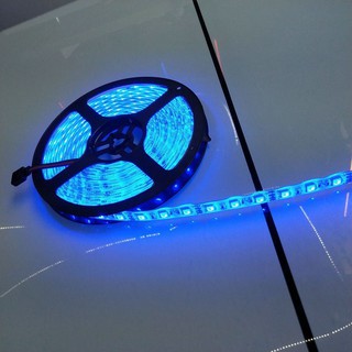 IP20 Blue ไฟ led เส้น Strip 12v 5050 Eco 60leds/m 5m