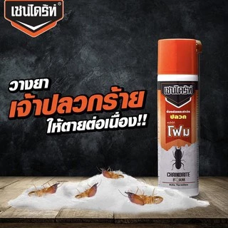 เชนไดร้ท์ โฟม Chaindrite Form ผลิตภัณฑ์กำจัดปลวก แมลงสาบ มด แบบเนื้อโฟม ขนาด 250 ml.