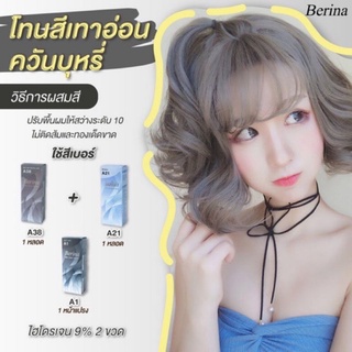 Berina เบอริน่า สีเทาควันบุรี A1+A21+A38