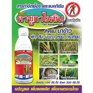 🌾 คาซูก้าไมซิน ไฮโดรคลอไรด์ ไฮเดรด 2% 1 ลิตร ใช้ป้องกันกำจัด โรคใบไหม้ โรคไหม้คอรวง โรคขอบใบแห้ง #โมคารอล #คาซู่