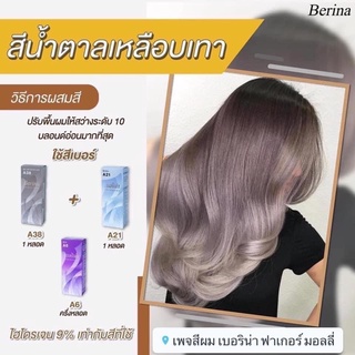 Berina เซตสีผมเบอริน่า Berina A21+A38+A6 สีน้ำตาลเหลือบเทา สีผมเบอริน่า สีย้อมผม ครีมย้อมผม