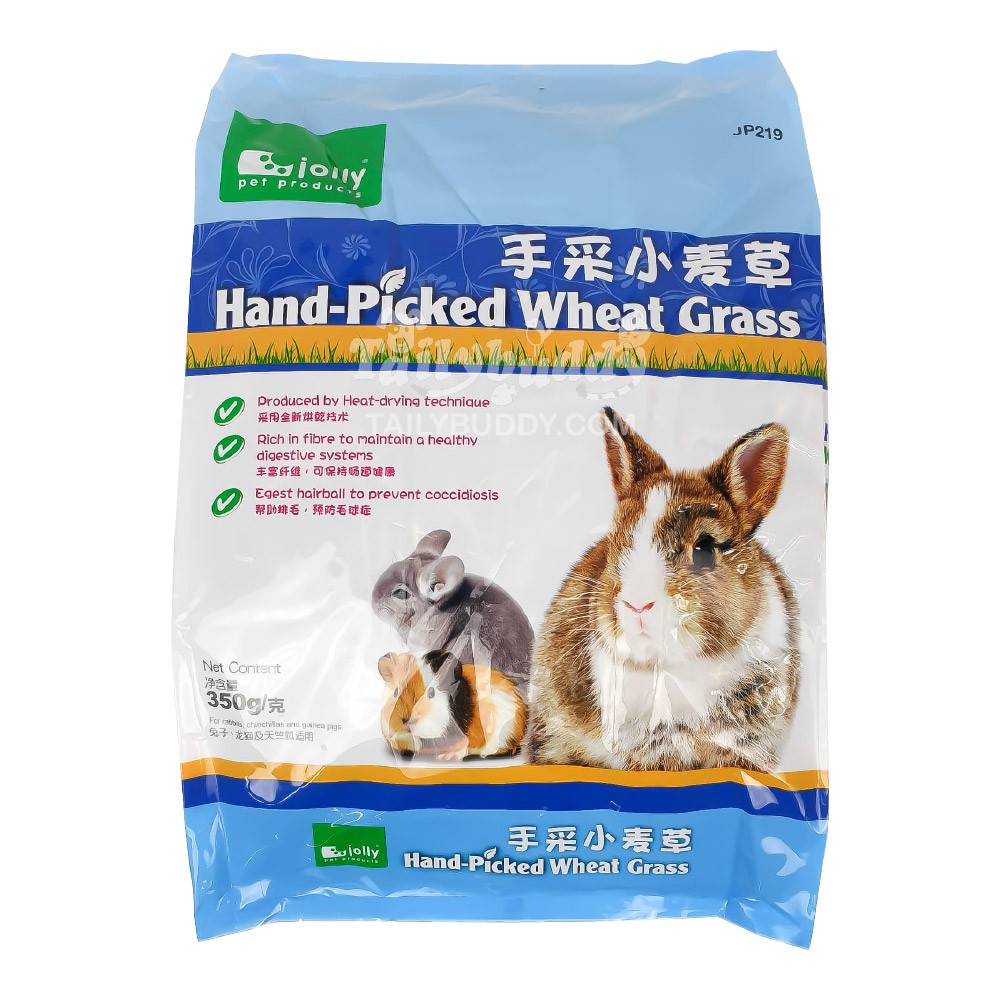 อายุยาว 10/2026 ! Jolly Hand-Picked Wheat Grass หญ้าวีทกราส ต้นข้าวสาลีอ่อน กระต่าย ชินชิล่า และแกสบ