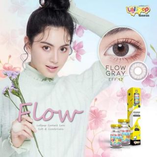 บิ๊กอายFlow gray lollipop