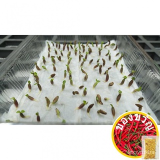 White Desert Rose Seeds, White Adenium Obesum Seeds - Variety50 seeds (not live plants)ChamomileZinniaRubySunflowerWhite