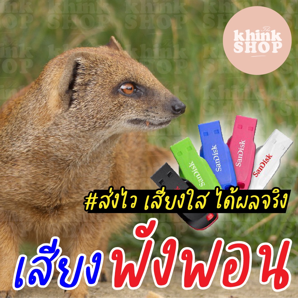 เสียงต่อพังพอน แฟลชไดรฟ์ เมม ไม่มีโฆษณาแทรก มีเก็บเงินปลายทาง