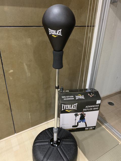 everlast advanced reflex bag