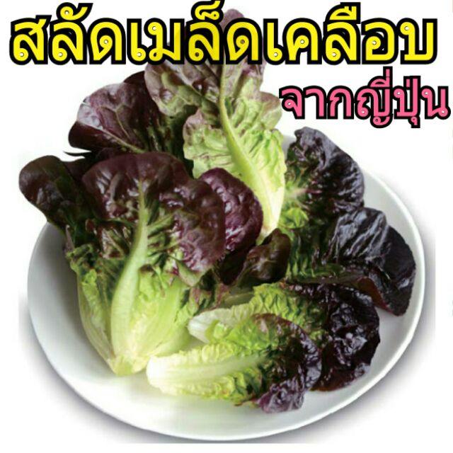 My Image 4