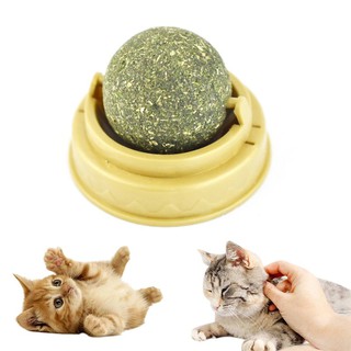 1แถม1 ของเล่นบอลติดผนัง แคทนิปบอล ติดกำแพง ไม่กลิ้งหาย catnip ball  บอลแมว  🐺🐱🐱 สินค้าพร้อมส่ง🐱🐱