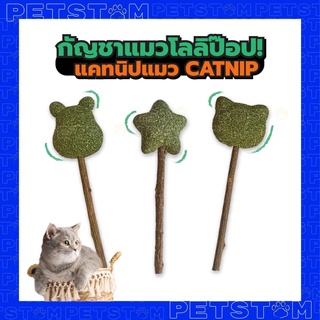 แคทนิปโลลิป๊อป catnip ด้ามเป็นไม้ทาทาบิ