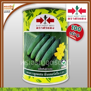 เมล็ดพันธุ์แตงกวา แตงกวาธันเดอร์กรีน 2 F1 (100 กรัม) เมล็ดแตงกวาศรแดง แตงกวาลูกผสม เมล็ดพันธุ์ผักสวนครัว ตราศรแดง