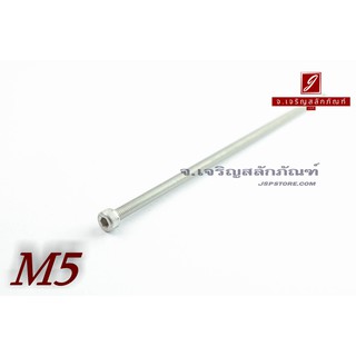 น็อตหัวจมสแตนเลส M5x160