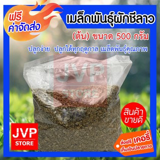 เมล็ดพันธุ์ผักชีลาว ต้น ขนาด 500 กรัม