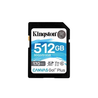 Canvas Go! Plus SD170MB/s read, 90MB/s write • DSLR • Mirrorless camera • 4K video production