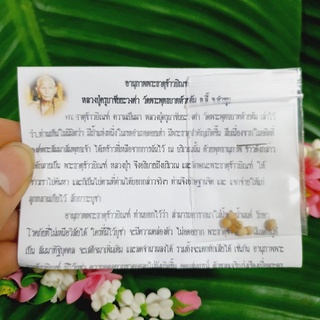 พระธาตุข้าวบิณฑ์ วัดพระพุทธบาทห้วยต้ม หลวงปู่ครูบาชัยยะวงศา (1ชุด6-7องค์)พร้อมใบคาถาบูชา บูชาแล้วไม่มีอดอยาก