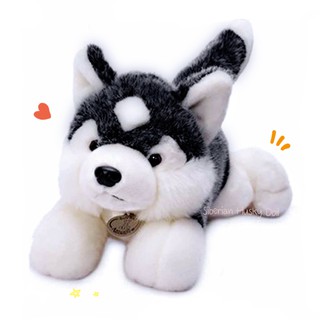 ตุ๊กตาไซบีเรียน ฮัสกี้ Siberian Husky :: ตุ๊กตาหมา ตุ๊กตาผ้าขน สุนัข ตุ๊กตาน่ารัก สะสม ขนเทียม เหมือนจริง