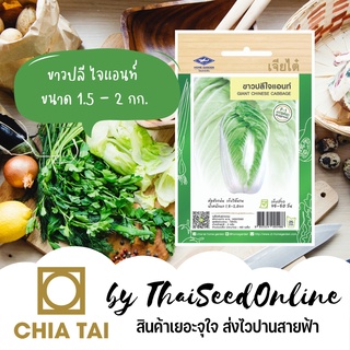 CTF1 เมล็ดพันธุ์ ผักกาดขาวปลีไจแอนท์ ตราเจียไต๋ Chinese cabbage