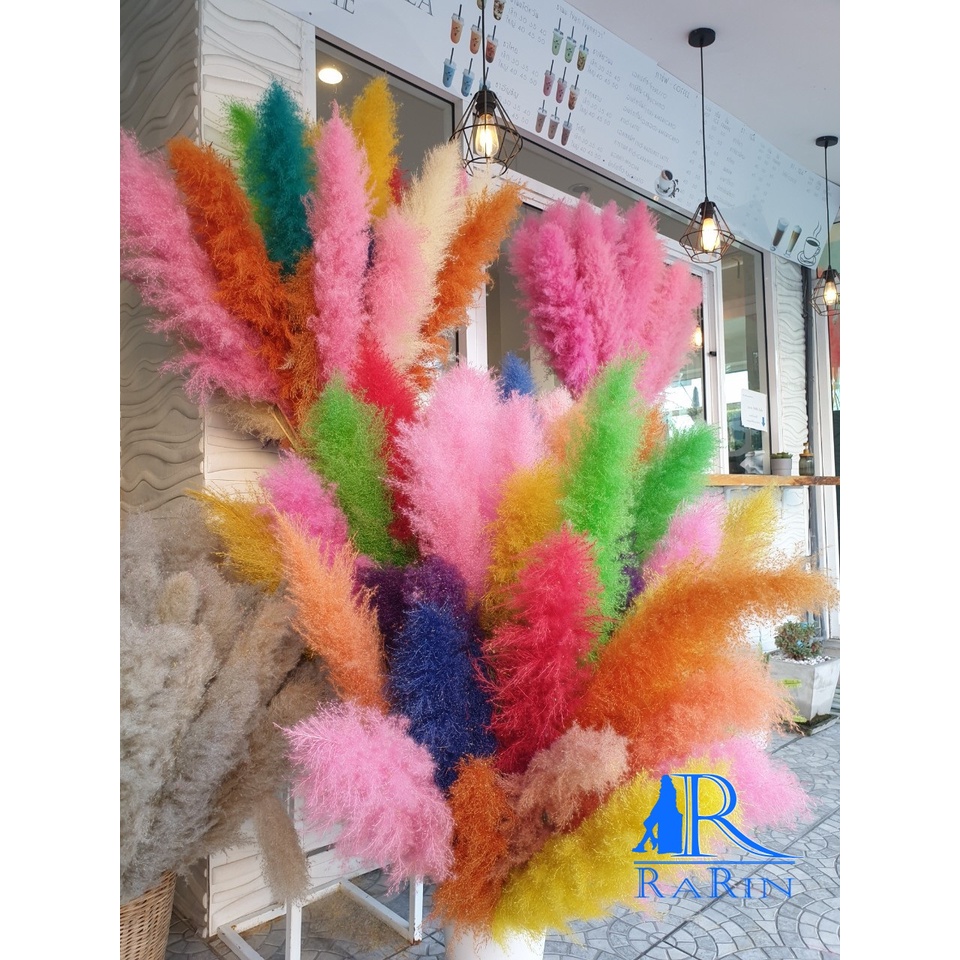 Rarin ดอกเลา ย้อมสี(หลากสี) 1ก้าน ‼️พร้อมส่ง‼️ขนาด 90-100 cm.ดอกรวมก้าน ดอกไม้ธรรมชาติ ดอกฟุ้งฟิ้ง ราคา ถูกที่สุด ดีลบีเคเค แกลเลอรีภาพที่ 2