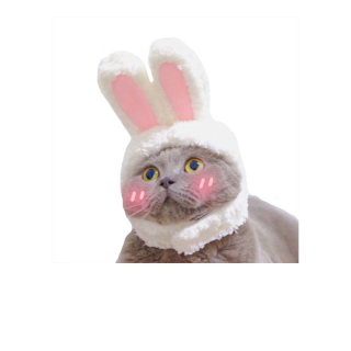 โปรโมชั่น :  27 Pet Hat  หมวกผ้าน่ารัก สําหรับสัตว์เลี้ยง สุนัข แมว
