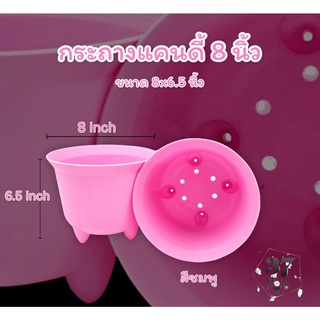 37POTS (ซื้อ 1 แถม 1 สุ่มสี) กระถางแคนดี้ 8 นิ้ว สี