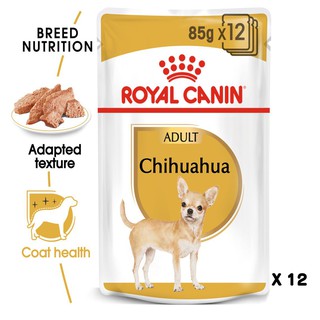 Royal Canin Adult Chihuahua Pouch อาหารเปียก แบบซอง สำหรับสุนัขสายพันธุ์ชิวาวาโตเต็มวัย x 12ซอง