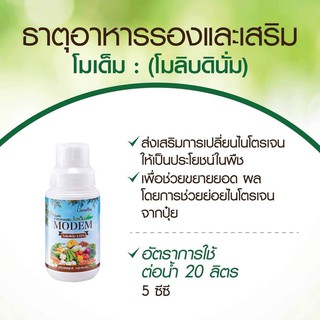 ส่งฟรี 🍓 กิฟฟารีน โมเด็ม สารเสริมประสิทธิภาพ ปุ๋ยทางใบ (โมลิบดินั่ม) พืชเถา ไม้เลื้อย พืชล้มลุก ถั่ว ผักกินใบ ขยายยอด