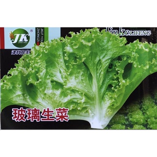 เมล็ดพันธุ์ ผักกาดหอม ฟอเรส ( lettuce forest seed )บรรจุ 3500 เมล็ด