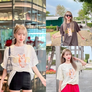 พร้อมส่ง✨🧸เสื้อยืดโอเวอร์ไซต์ งานป้าย Hinahina ลาย หมา Corgi (N09)