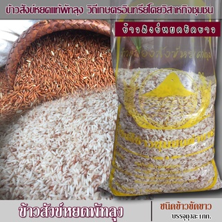 [ชุด4kg.] ข้าวสังข์หยดขาว ข้าวสังหยดพัทลุง ข้าวอินทรีย์วิสาหกิจชุมชน ข้าวขาวสังข์หยด ข้าวสังข์หยดพัทลุง ข้าวขัดขาว