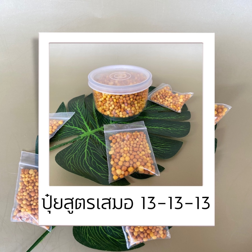 ปุ๋ยละลายช้า13-13-13