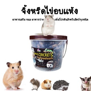 จิ้งหรีดอบเเห้งอาหารเสริมโปรตีนสูง (เกรดพรีเมียม) แบ่งขายกะปุกละ12บาท