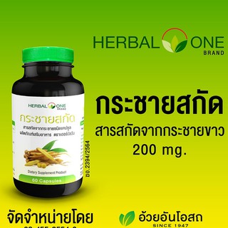 Herbal one กระชายสกัด 60 แคปซูล Finger root extract 1 ขวด