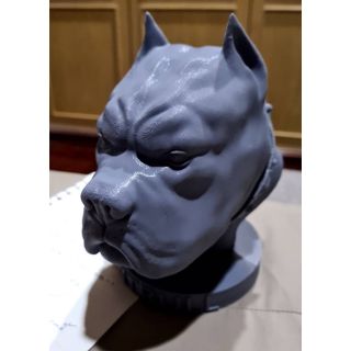 โมเดลหัวสุนัขพิทบูล pitbull head model