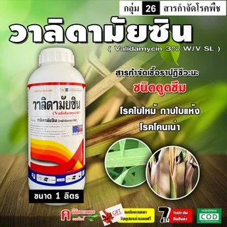 วาลิดามัยซิน ( 1 ลิตร ) สารป้องกันและกำจัดโรคพืช โรคกาบใบแห้ง ใบไหม้ ใบไหม้ใบติด ในทุเรียน