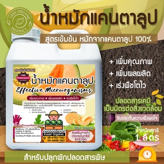 น้ำหมักแคนตาลูป 1 ลิตร ราคาส่ง ซื้อ 5 แกลลอน แถมฟรี!! จุลินทรีย์สังเคราะห์แสง 1 ขวด