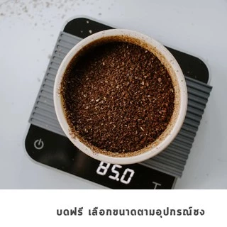 GRAPH | เมล็ดกาแฟ SIGNATURE BLEND - DARK TONE SET - CHOCOLATE CARAMEL