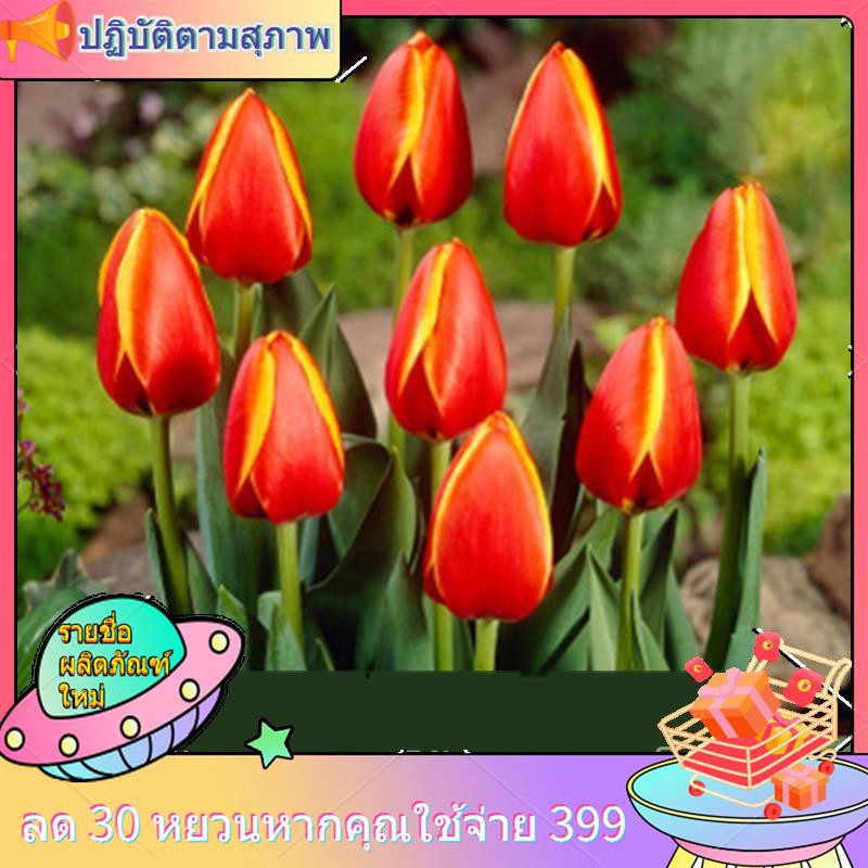 My Image 30