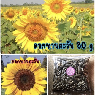 ⚡️โค้ด "EWD2VV"  เมล็ดพันธุ์ ดอกทานตะวันดอกใหญ่ 350-450 เมล็ด (80 กรัม) ทานตะวัน 80 กรัม✅ราคาถูก🪴ปลูกง่าย ดอกสวยมาก