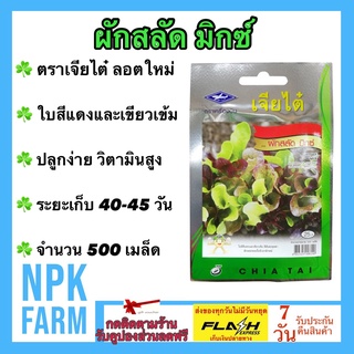 ผักซองเจียไต๋ ผักสลัด มิกซ์ จำนวน 500 เมล็ด เมล็ดพันธุ์ ลอตใหม่ งอกดี ใบสีแดงและเขียวเข้ม ปลูกง่าย มีวิตามินสูง