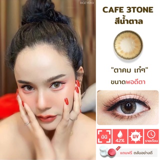 ไม่แถมตลับ Cafe 3 tone Brown (มินิ) คอนแทคเลนส์ Wink