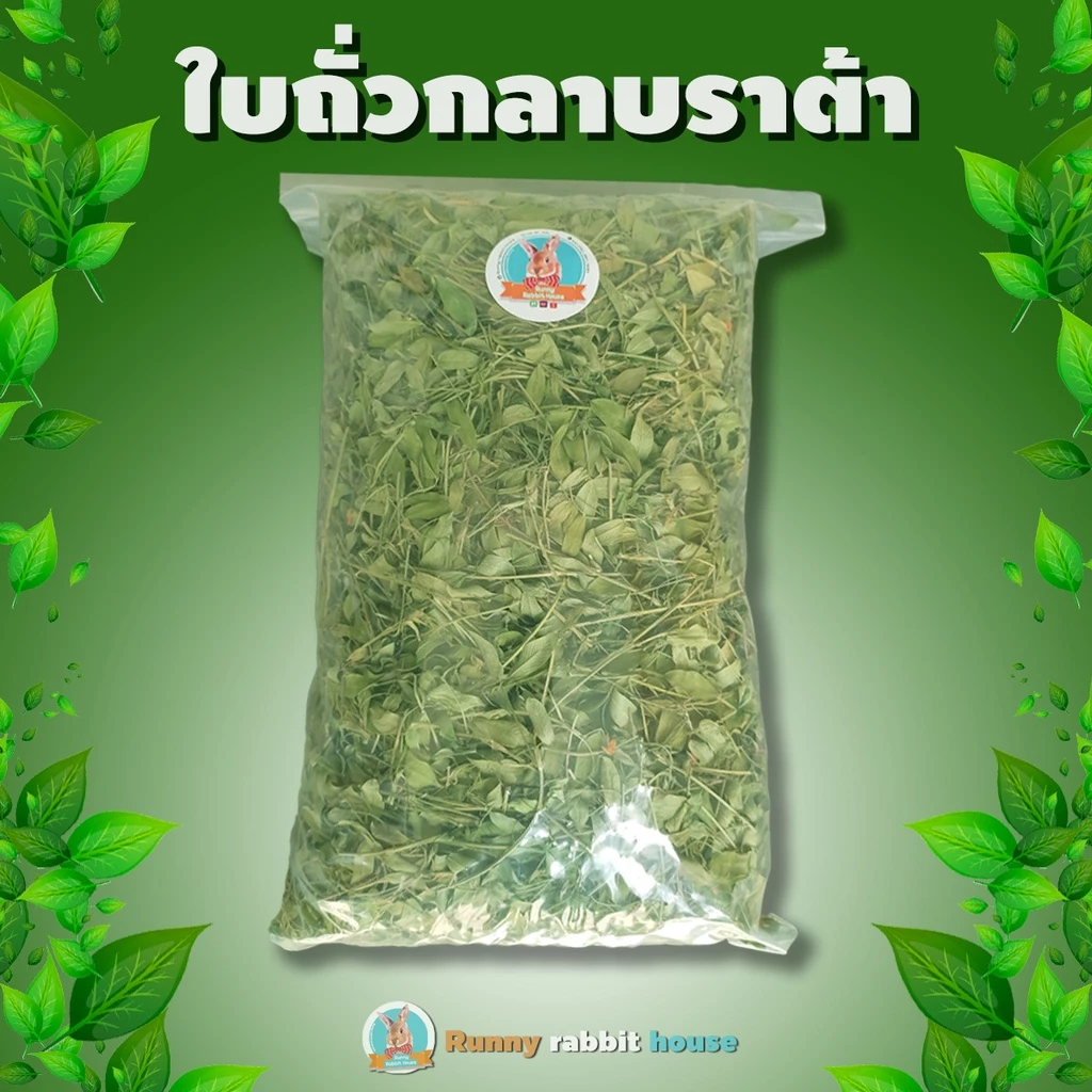 ลด40%ในlive🔥ใบถั่วกลาบาต้าอบแห้ง มีสารอาหารครบได้ทั้งอาหารหลักอาหารเสริม เหมาะสำหรับสัตว์ฟันแทะ กระต่าย แพรี่ด็อก แกสบี้