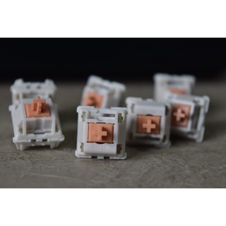 DROP Holy Panda Switches พร้อมส่งในไทย