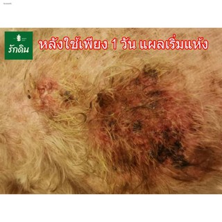 กำมะถัน ผงสีเหลืองบดละเอียด Sulfer Powder ไล่แมลงคลาน ผิวหนังกลาก ...