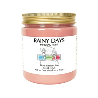 สีทาเฟอร์นิเจอร์,Chalk Stlye Paint  ,สีทาไม้ ,DIY Paint ,ของตกแต่งบ้าน,งานฝีมือ,เป็นมิตรกับสิ่งแวดล้อม